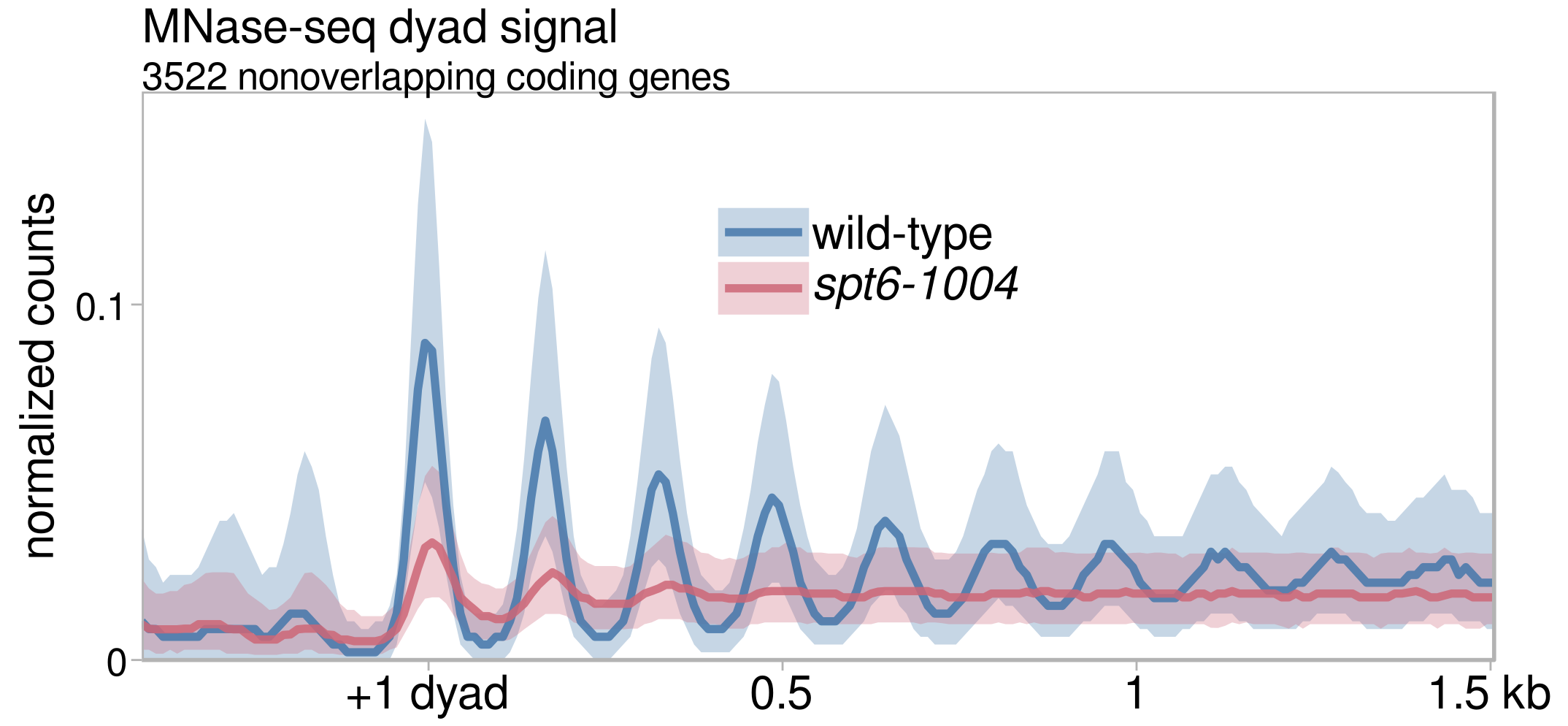 Average MNase-seq dyad signal in wild-type and spt6-1004 cells, over genes aligned by +1 nucleosome dyad.