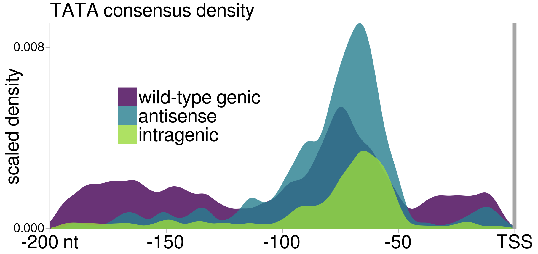 Scaled density of TATA-box consensus motifs upstream of wild-type genic, and spt6-1004-induced antisense and intragenic TSSs.